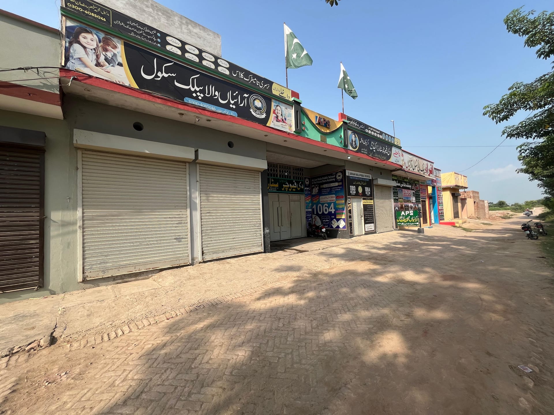 The frontage of Arrian Wala Public School & The Future Stars Academy, with the school signboards and two Pakistan flags above the entrance on the street in Mohallah Saleem Nagar.